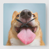 Niedliche Kleintiere | Corgi Tongue Quadratische Wanduhr (Vorderseite)