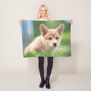 Niedliche Kleintiere Corgi Welpe im Garten Fleecedecke
