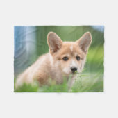 Niedliche Kleintiere | Corgi Welpe im Garten Fleecedecke (Vorderseite (Horizontal))