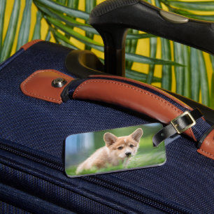 Niedliche Kleintiere Corgi Welpe im Garten Gepäckanhänger