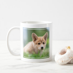 Niedliche Kleintiere   Corgi Welpe im Garten Kaffeetasse
