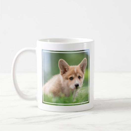Niedliche Kleintiere | Corgi Welpe im Garten Kaffeetasse (Links)