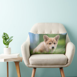 Niedliche Kleintiere Corgi Welpe im Garten Lendenkissen