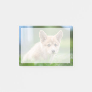 Niedliche Kleintiere Corgi Welpe im Garten Post-it Klebezettel