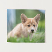 Niedliche Kleintiere | Corgi Welpe im Garten Wandteppich (Vorderseite (Horizontal))