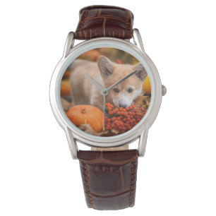 Niedliche Kleintiere   Corgi Welpe im Herbst Armbanduhr
