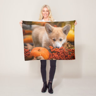Niedliche Kleintiere   Corgi Welpe im Herbst Fleecedecke
