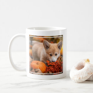 Niedliche Kleintiere Corgi Welpe im Herbst Kaffeetasse