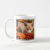 Niedliche Kleintiere | Corgi Welpe im Herbst Kaffeetasse (Links)