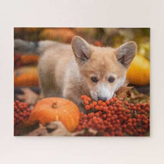 Niedliche Kleintiere | Corgi Welpe im Herbst Puzzle (Horizontal)