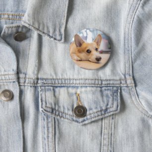 Niedliche Kleintiere Corgi Welppy auf Floor Button
