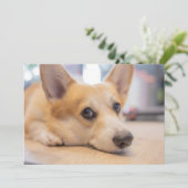 Niedliche Kleintiere | Corgi Welppy auf Floor Dankeskarte (Stehend Vorderseite)