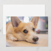 Niedliche Kleintiere | Corgi Welppy auf Floor Dankeskarte (Vorne/Hinten)