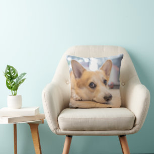 Niedliche Kleintiere Corgi Welppy auf Floor Kissen