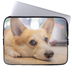 Niedliche Kleintiere Corgi Welppy auf Floor Laptopschutzhülle