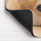 Niedliche Kleintiere | Corgi Welppy auf Floor Mousepad (Ecke)