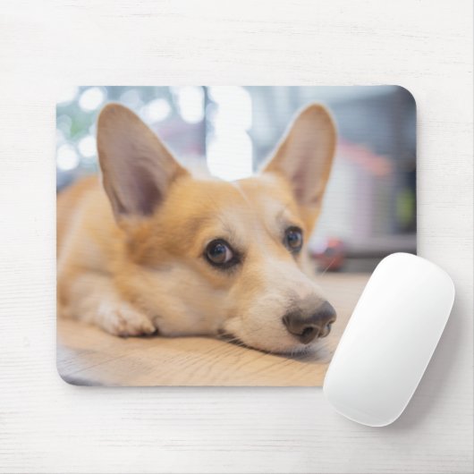 Niedliche Kleintiere | Corgi Welppy auf Floor Mousepad (Mit Mouse)