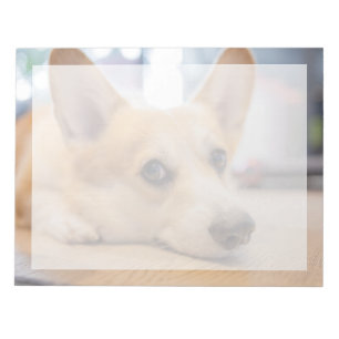Niedliche Kleintiere   Corgi Welppy auf Floor Notizblock