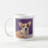 Niedliche Kleintiere | Corgi Welppy auf Lila Kaffeetasse (Links)