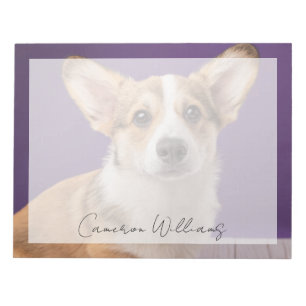 Niedliche Kleintiere   Corgi Welppy auf Lila Notizblock