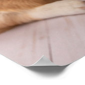 Niedliche Kleintiere | Corgi Welppy auf Lila Poster (Ecke)