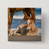 Niedliche Kleintiere | Corolla Wild Horse Button (Vorderseite)
