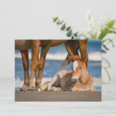 Niedliche Kleintiere | Corolla Wild Horse Dankeskarte (Stehend Vorderseite)