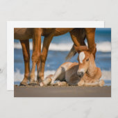 Niedliche Kleintiere | Corolla Wild Horse Dankeskarte (Vorne/Hinten)