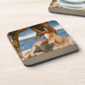 Niedliche Kleintiere | Corolla Wild Horse Getränkeuntersetzer (Linke Seite)