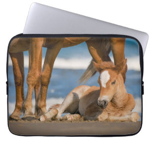 Niedliche Kleintiere   Corolla Wild Horse Laptopschutzhülle