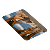 Niedliche Kleintiere | Corolla Wild Horse Magnet (Rechte Seite)