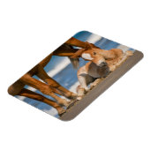 Niedliche Kleintiere | Corolla Wild Horse Magnet (Linke Seite)