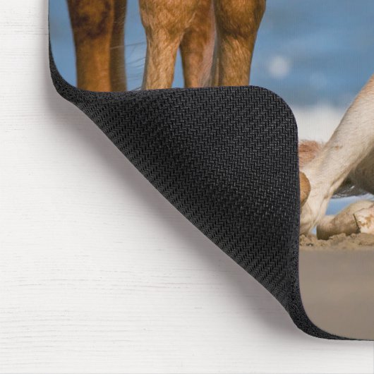 Niedliche Kleintiere | Corolla Wild Horse Mousepad (Ecke)