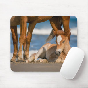 Niedliche Kleintiere Corolla Wild Horse Mousepad