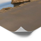 Niedliche Kleintiere | Corolla Wild Horse Poster (Ecke)