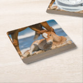 Niedliche Kleintiere | Corolla Wild Horse Rechteckiger Pappuntersetzer (angewinkelt)