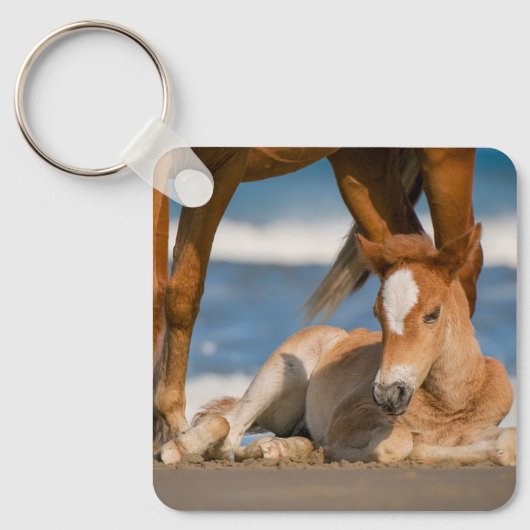 Niedliche Kleintiere | Corolla Wild Horse Schlüsselanhänger (Vorderseite)