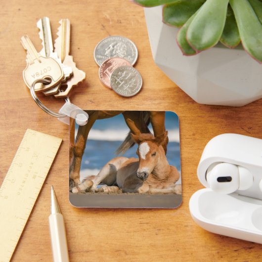 Niedliche Kleintiere | Corolla Wild Horse Schlüsselanhänger (Schreibtisch)