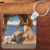 Niedliche Kleintiere | Corolla Wild Horse Schlüsselanhänger (Rückseite)