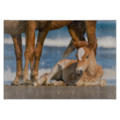 Niedliche Kleintiere | Corolla Wild Horse Schneidebrett (Vorderseite)
