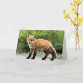 Niedliche Kleintiere | Cutey Fox Karte (Gelbe Blume)
