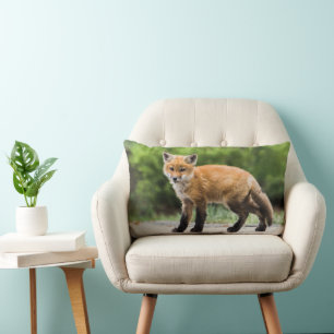 Niedliche Kleintiere Cutey Fox Lendenkissen