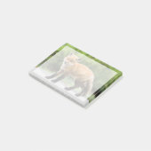 Niedliche Kleintiere | Cutey Fox Post-it Klebezettel (angewinkelt)