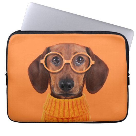 Niedliche Kleintiere | Dackel Orange Sweater Laptopschutzhülle (Vorderseite)