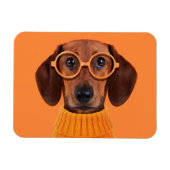 Niedliche Kleintiere | Dackel Orange Sweater Magnet (Horizontal)
