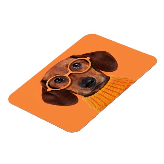 Niedliche Kleintiere | Dackel Orange Sweater Magnet (Linke Seite)