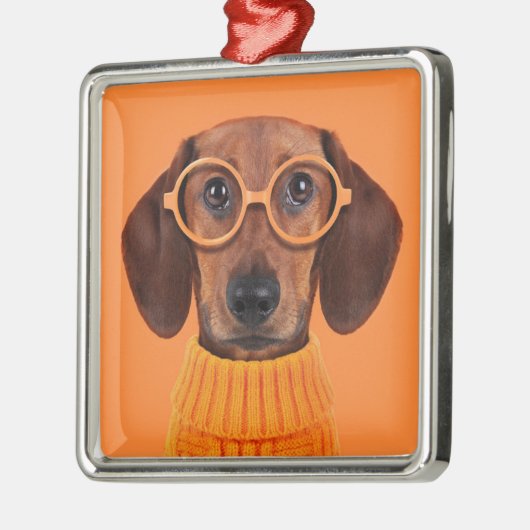 Niedliche Kleintiere | Dackel Orange Sweater Ornament Aus Metall (Links)