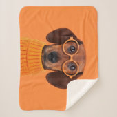 Niedliche Kleintiere | Dackel Orange Sweater Sherpadecke (Vorderseite)