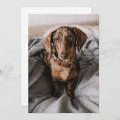 Niedliche Kleintiere | Dackel Schokolade Dankeskarte (Vorne/Hinten)
