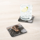 Niedliche Kleintiere | Dackel Schokolade Getränkeuntersetzer (Rechte Seite)